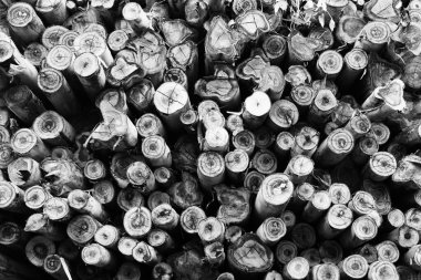 Ahşap bir yüz dokusu. arkaplan ya da duvar kağıdı için yığınla yakacak odun.