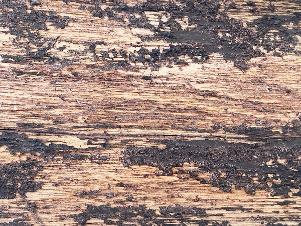 木の表面の抽象的な背景 自然な木の壁の背景の質 — ストック写真