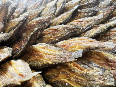 Kızarmış yılan derisi gourami balığı, beyaz kemer yağlı kağıt tabaka üzerinde yumurtlayan..