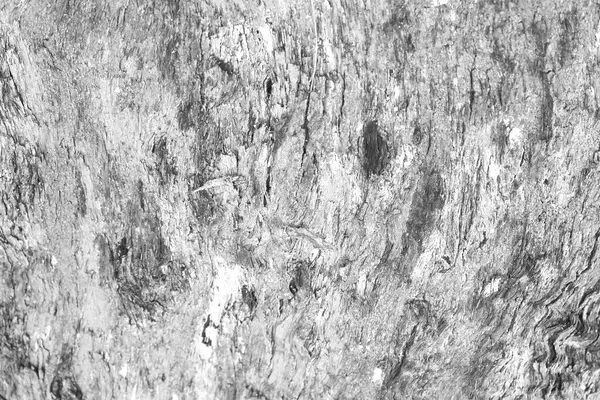 Grunge Białe Tło Tekstura Drewna — Zdjęcie stockowe