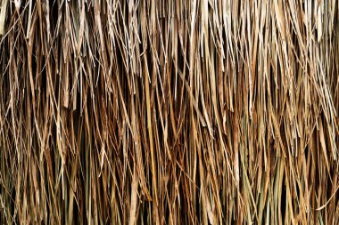 Arkaplan veya arkaplan için doğal saman asma.