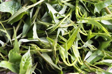 Taze sabah ihtişamı arka planı, fotokopi alanı olan üst görünüm, sebze konsepti.