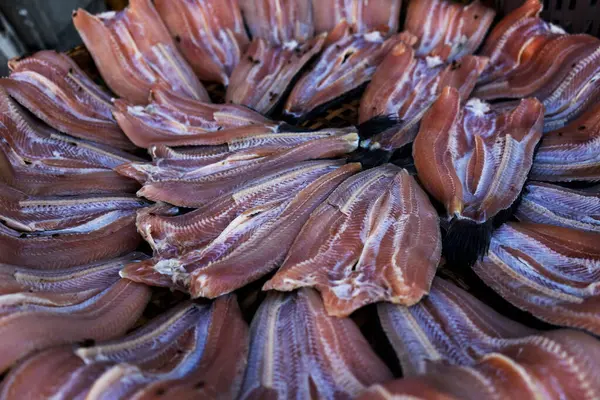 화창한 대나무 그리드에 물고기 — 스톡 사진