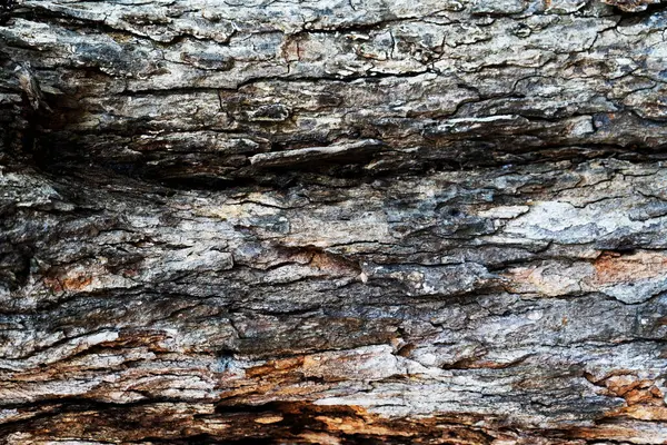 Abstrakter Hintergrund Der Holzoberfläche Hintergrundstruktur Der Natürlichen Holzwand — Stockfoto