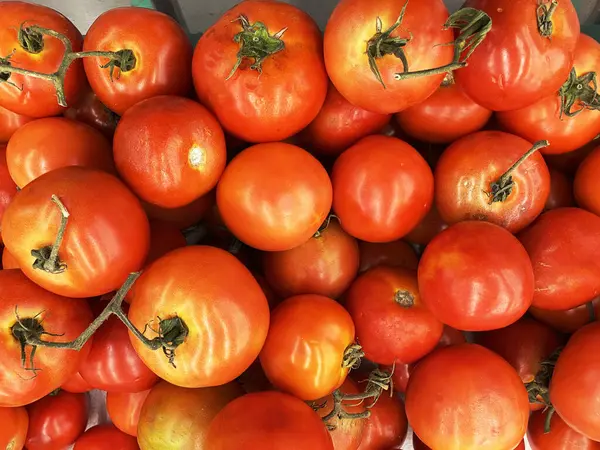 Tło Czerwonych Pomidorów Grupa Pomidorów — Zdjęcie stockowe