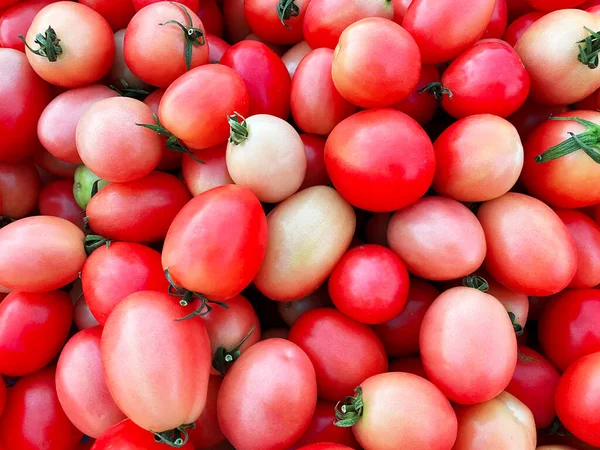 Widok Ogólny Owalne Pomidory Czerwone — Zdjęcie stockowe