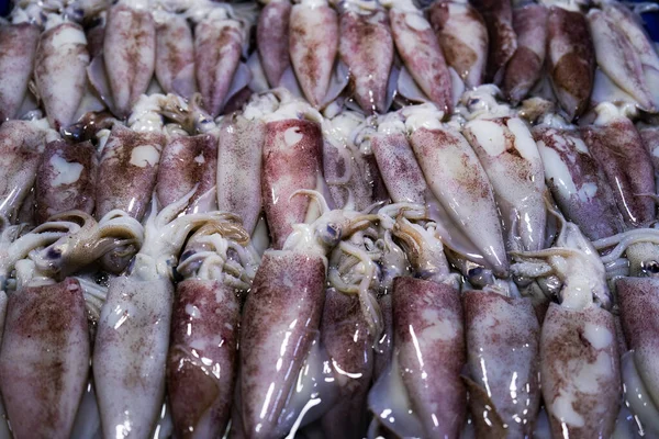 Verse Inktvis Verkopen Achtergrond Traditionele Vismarkt Food Object — Stockfoto