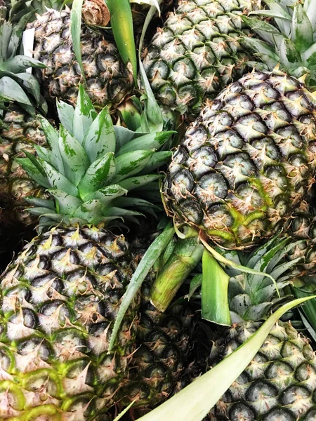 food product tropical fruit pineapple. Texture green juicy fresh fruit pineapple.