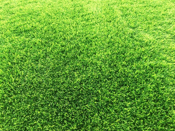 Green Wall Green Background Artificial Grass Designed Outdoor Sports Business — Stock Photo, Image