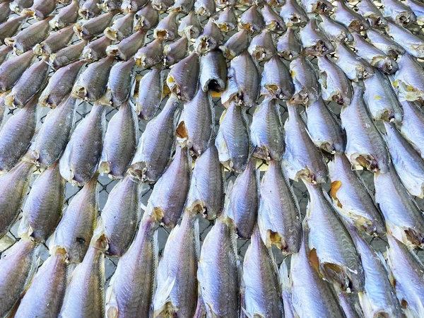 Vis Wordt Gedroogd Het Net Van Visser Wachten Tot Het — Stockfoto