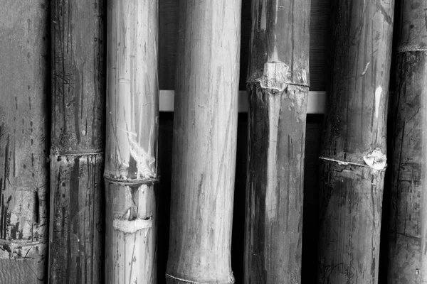 Предпосылки Декоративного Старого Бамбукового Забора — стоковое фото