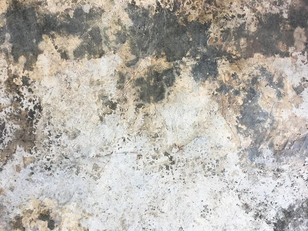 Стара Цементна Стіна Тріщинним Монохромним Фоном — стокове фото