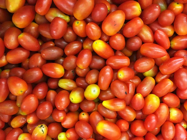 Zbliżenie Świeżych Mini Pomidorów Organicznych Roma — Zdjęcie stockowe