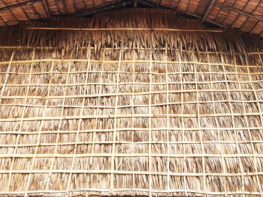 Arkaplan dokusu olarak kuru saman duvar. Tayland kırsalındaki kulübe duvarının kuru yaprakları..