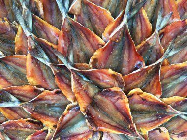 Tuzla korunmuş balık. Balıkçı köyünde sokakta kurutulmuş tuzlu balık. Geleneksel tuzlu balıklar güneşte kuruyor..