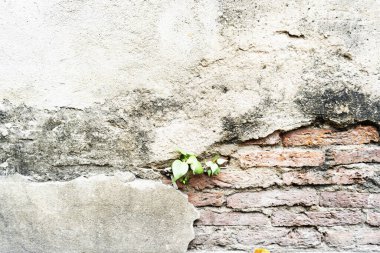 Eski beton duvar dokusu arkaplanı.