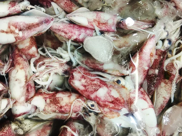 Whiteraw Inktvis Zeevruchten Verse Markt — Stockfoto