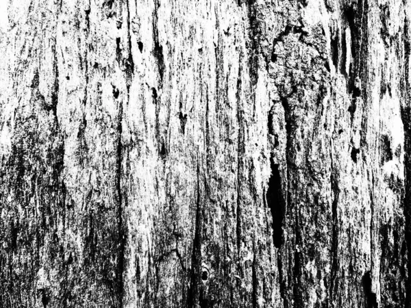 Old Dark Rough Rustykalne Drewniane Teksturowane Tło Kwadrat Monochromatyczne — Zdjęcie stockowe