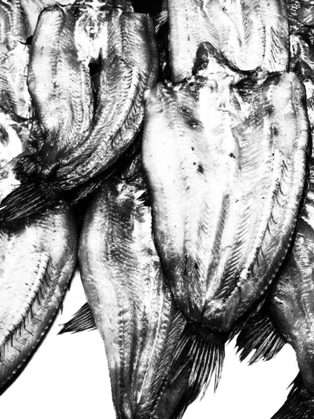 Αποξηραμένα Ψάρια Στην Αγορά Στο Πόλη Τσόνμπουρι Ταϊλάνδη — Φωτογραφία Αρχείου