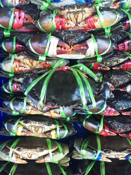 Caranguejo Vivo Colocado Tigela Plástico Cor Verde Representam Matéria Prima — Fotografia de Stock