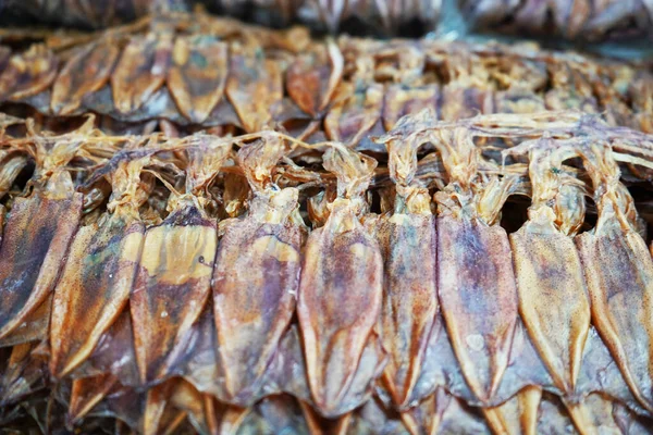 Calamar Seco Para Venta Mercado Pescado — Foto de Stock
