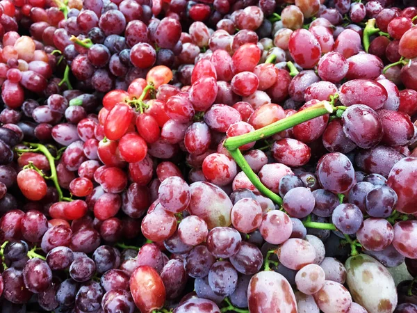 Uve Fresche Vino Rosso Uve Scure Mercato Della Frutta — Foto Stock