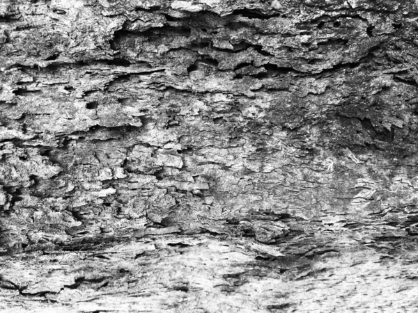 Closeup Velho Padrão Madeira Textura — Fotografia de Stock