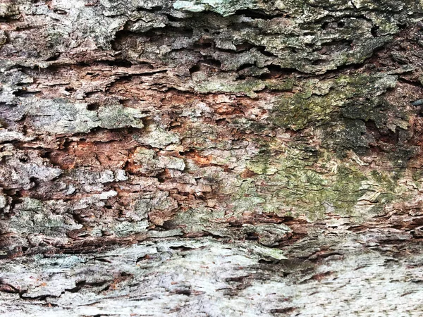 Старая Деревянная Текстура Крупным Планом — стоковое фото