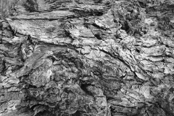 Текстура Старого Дерева Візерунок Тла — стокове фото