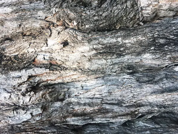 Крупним Планом Стара Дерев Яна Текстура Візерунка — стокове фото