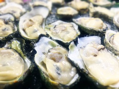 Deniz ürünleri restoranında buzlu taze istiridye. Yemek ya da hizmet için hazır, Seçici odaklanma.