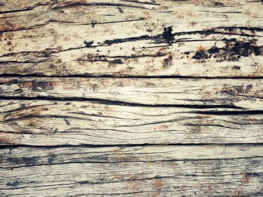 Eski ahşap yüzey dokusu doğal arka plan tasarımı soyut mimari yapı dekorasyonu klasik deri doğal.