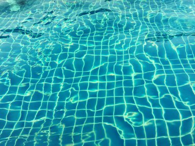 Fayanslı mavi yüzme havuzu ve palmiye ağacı gölgesi.