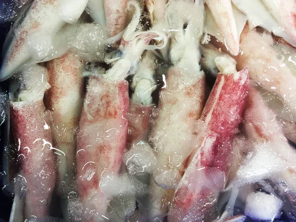 Белые Кальмары Морепродукты Свежем Рынке — стоковое фото