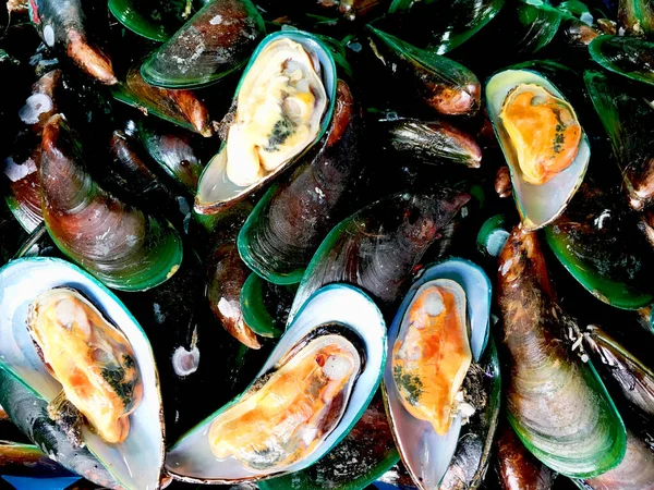 Raw Musselskal Marknaden Färska Skaldjur Thailand — Stockfoto