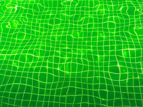 Green swimming pool water with tiles and palm tree shadow.