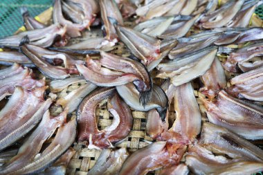 dried fishes in the market.