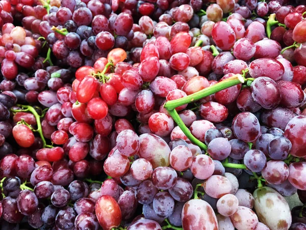 Raisins Vin Rouge Frais Raisins Noirs Marché Aux Fruits — Photo