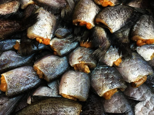 ドライスナークキングルミ魚 ドライヘビキングルミ — ストック写真