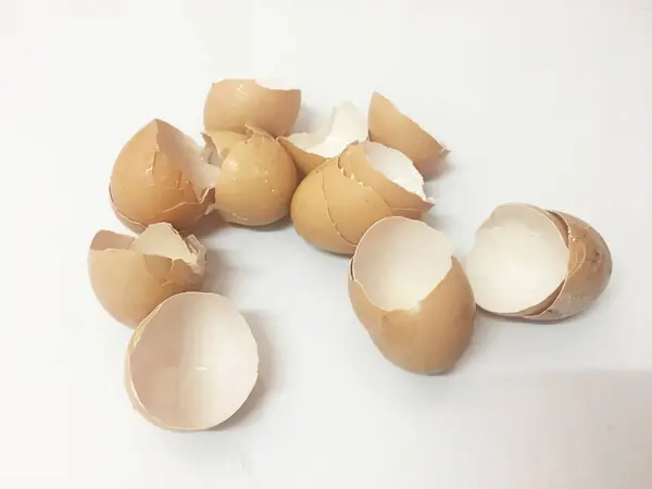 Сломанное Яйцо Шел Фон Куриные Яйца Концепция Eggshell — стоковое фото