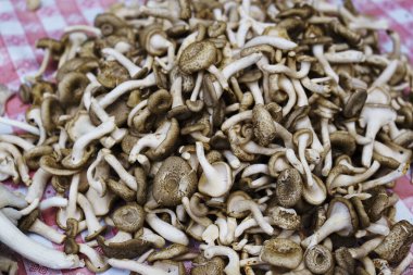 Marketteki markette satılık taze mantar sepetleri..