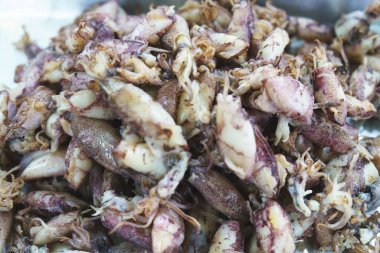 Çiğ taze kalamar ya da tuzlanmış mürekkep balığı. Bir yığın tuzlanmış mürekkep balığı..