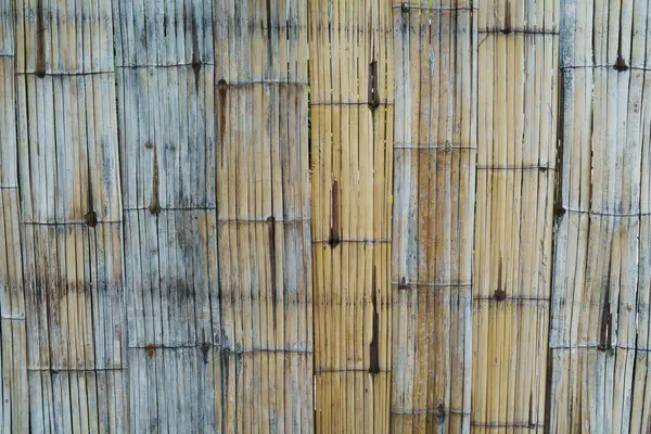 Bamboo Φράχτη Σπίτι Σχεδιασμό — Φωτογραφία Αρχείου