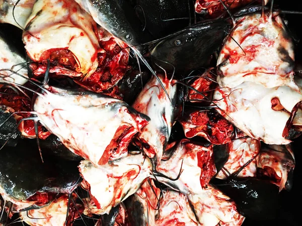 stock image Fish heads in the basket - Thailand fish Market.