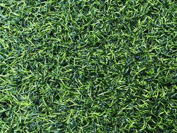 Top View Artificial Grass — Stock Photo, Image