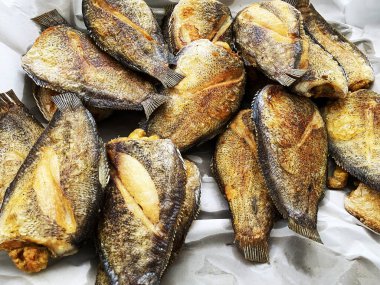 Kızarmış yılan derisi gourami balığı, beyaz kemer yağlı kağıt tabaka üzerinde yumurtlayan..