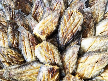 Kızarmış yılan derisi gourami balığı, beyaz kemer yağlı kağıt tabaka üzerinde yumurtlayan..