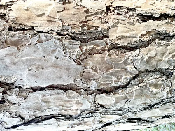 Деревянный Узор — стоковое фото