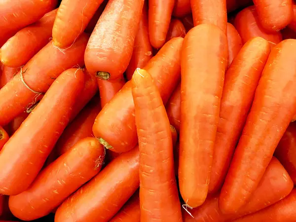 Macro Photo Spring Food Vegetable Carrot Texture Background of Large Orange Carrot Fresh Product Picture Carrot root vegetable.