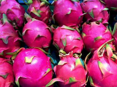 Dragon meyve pazar yeri Satılık.